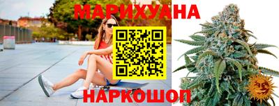стаф Дубна