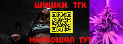 стаф Дубна