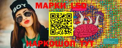 стаф Дубна