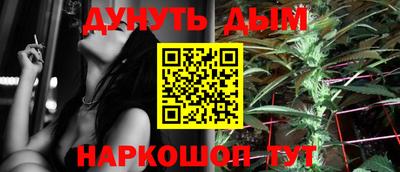 стаф Дубна