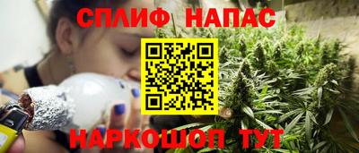 стаф Дубна