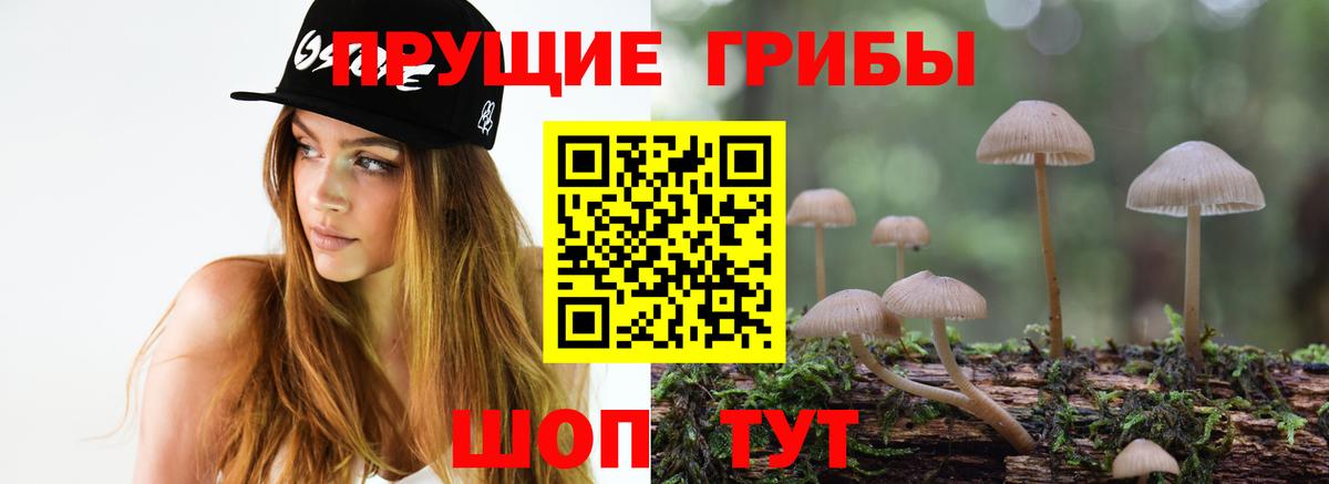 Майский  Псилоцибиновые грибы Psilocybe  Вход с VPN  Галлюциногенные грибы прущие грибы 